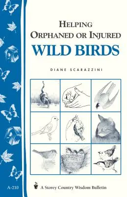 Árva vagy sérült vadmadarak segítése: Storey's Country Wisdom Bulletin A-210 - Helping Orphaned or Injured Wild Birds: Storey's Country Wisdom Bulletin A-210