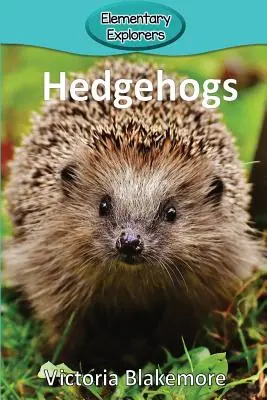 sünök - Hedgehogs