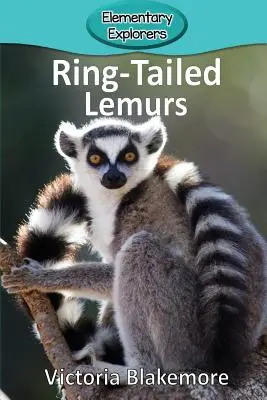 Gyűrűsfarkú makik - Ring-Tailed Lemurs