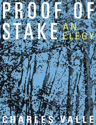 A tét bizonyítása: An Elegy - Proof of Stake: An Elegy