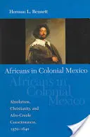 Afrikaiak a gyarmati Mexikóban: Abszolutizmus, kereszténység és afro-kreol tudat, 1570-1640 - Africans in Colonial Mexico: Absolutism, Christianity, and Afro-Creole Consciousness, 1570-1640