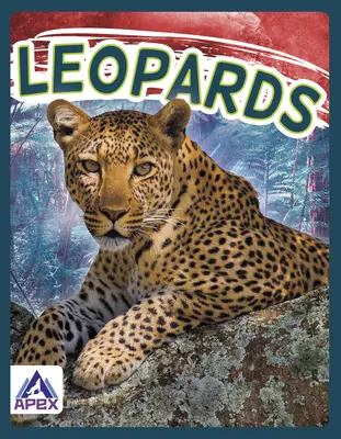 Leopárdok - Leopards