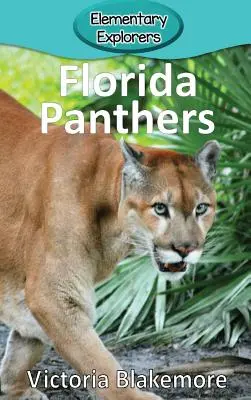 Floridai párducok - Florida Panthers