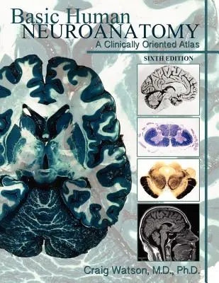 Alapvető emberi neuroanatómia: A Clinically Oriented Atlas - Basic Human Neuroanatomy: A Clinically Oriented Atlas