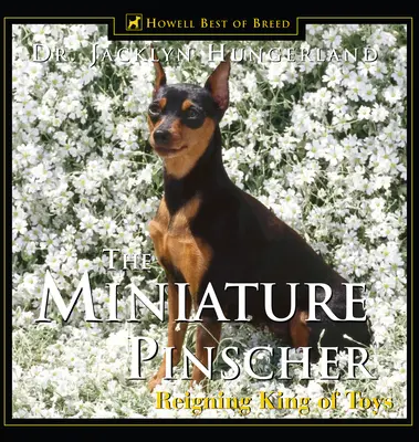 Miniatűr pinscher: A játékok uralkodó királya - Miniature Pinscher: Reigning King of Toys