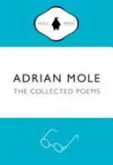 Adrian Mole: Adrian Mole: The Collected Poems - Adrian Mole: The Collected Poems