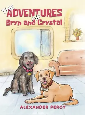 Bryn és Crystal kalandjai - The Adventures of Bryn and Crystal