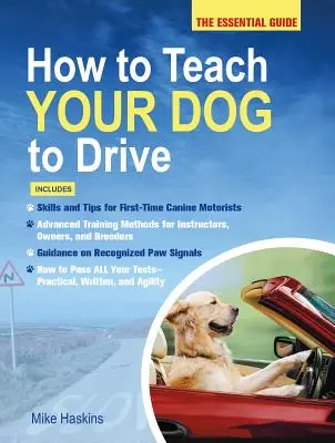 Hogyan tanítsd meg a kutyádat vezetni: Az alapvető útmutató - How to Teach Your Dog to Drive: The Essential Guide