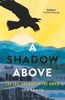 A Shadow Above: A holló bukása és felemelkedése - A Shadow Above: The Fall and Rise of the Raven