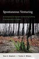 Spontán vállalkozás: Vállalkozói megközelítés a katasztrófa utáni szenvedés enyhítésére - Spontaneous Venturing: An Entrepreneurial Approach to Alleviating Suffering in the Aftermath of a Disaster