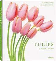 Tulipánok - Tulips