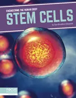 Őssejtek - Stem Cells