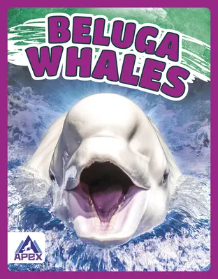 Beluga bálnák - Beluga Whales