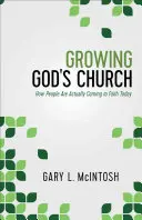 Isten gyülekezetének növekedése: Hogyan jutnak ma az emberek ténylegesen a hitre? - Growing God's Church: How People Are Actually Coming to Faith Today