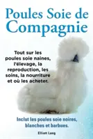 Poules soie de compagnie. Tout sur les Poules soie naines, l'levage, la reproduction, les soins, la nourriture et o les acheter. Inclut les Poules s