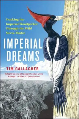 Imperial Dreams: A császári harkály nyomában a vadonban - Imperial Dreams: Tracking the Imperial Woodpecker Through the Wild