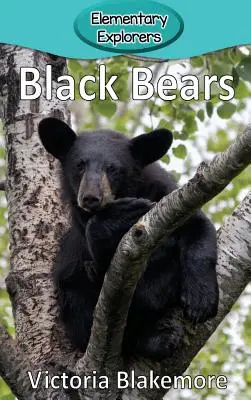 Fekete medvék - Black Bears