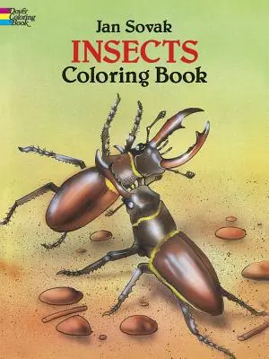 Rovarok színező könyv - Insects Coloring Book