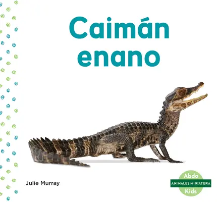 Caimn Enano (Törpekajmán) - Caimn Enano (Dwarf Caiman)