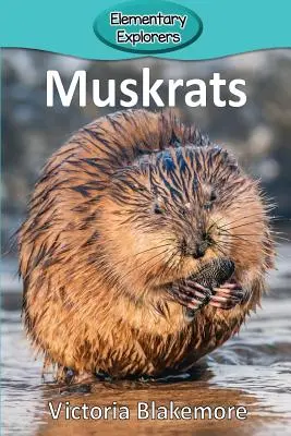 Pézsmapatkányok - Muskrats