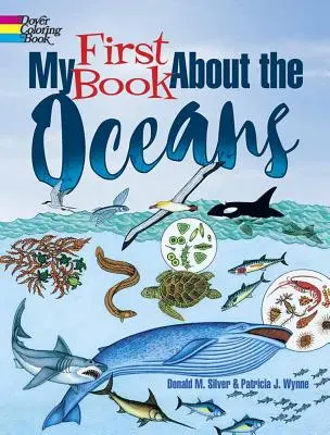 Az első könyvem az óceánokról - My First Book about the Oceans