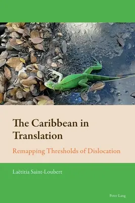 A Karib-térség fordításban; A kizökkentés küszöbeinek újratérképezése - The Caribbean in Translation; Remapping Thresholds of Dislocation