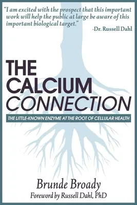 A kalcium kapcsolat: A kevéssé ismert enzim a sejtek egészségének gyökerénél - The Calcium Connection: The Little-Known Enzyme at the Root of Your Cellular Health