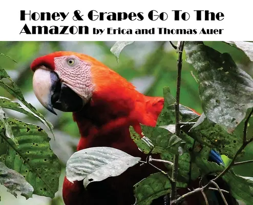 Méz és szőlő az Amazonashoz - Honey & Grapes Go To The Amazon