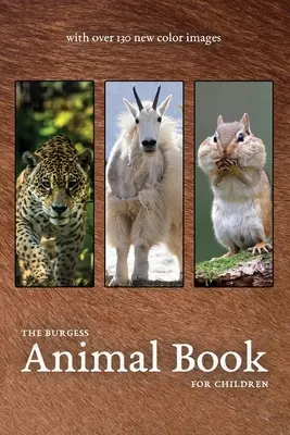 The Burgess Animal Book új színes képekkel - The Burgess Animal Book with new color images