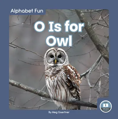 O mint Bagoly - O Is for Owl