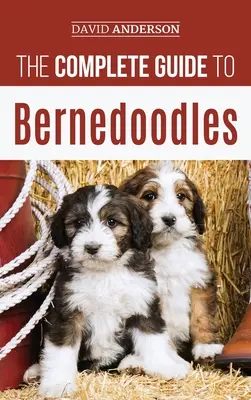 A teljes útmutató a Bernedoodles: Minden, amit tudnod kell a bernedoodle kiskutya sikeres felneveléséhez! - The Complete Guide to Bernedoodles: Everything you need to know to successfully raise your Bernedoodle puppy!