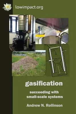 Elgázosítás: sikerrel a kisléptékű rendszerek - Gasification: succeeding with small-scale systems