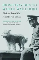 Kóbor kutyából I. világháborús hős: A párizsi terrier, aki csatlakozott az első hadosztályhoz - From Stray Dog to World War I Hero: The Paris Terrier Who Joined the First Division