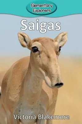 Saigák - Saigas