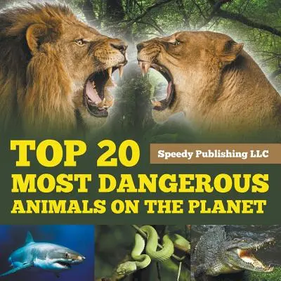 Top 20 legveszélyesebb állat a bolygón - Top 20 Most Dangerous Animals On The Planet