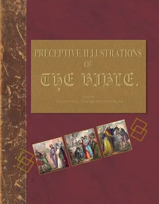 Preceptive Illustrations of the Bible: A Bibliák megértése egy oktatói napló segítségével - Preceptive Illustrations of the Bible: Understanding the Bibles Through a Tutorial Journal