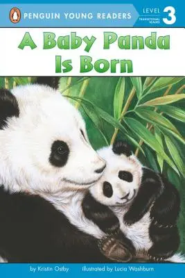 Megszületett egy pandabébi - A Baby Panda Is Born