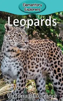 Leopárdok - Leopards