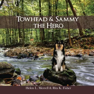 Towhead és Sammy A hős - Towhead and Sammy The Hero