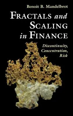 Fraktálok és skálázás a pénzügyekben: Diszkontinuitás, koncentráció, kockázat. Selecta E kötet - Fractals and Scaling in Finance: Discontinuity, Concentration, Risk. Selecta Volume E