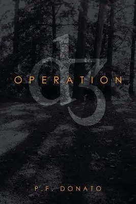 D3 művelet - Operation D3