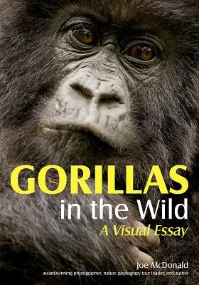 Gorillák a vadonban: vizuális esszé - Gorillas in the Wild: A Visual Essay