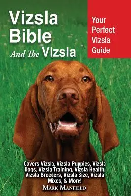 Vizsla Bible And the Vizsla: Vizsla Bible: Váš dokonalý průvodce vizslou: Vizsla, štěňata vizsly, psi vizsly, výcvik vizsly, zdraví vizsly, chovatelé vizsly, - Vizsla Bible And the Vizsla: Your Perfect Vizsla Guide Covers Vizsla, Vizsla Puppies, Vizsla Dogs, Vizsla Training, Vizsla Health, Vizsla Breeders,
