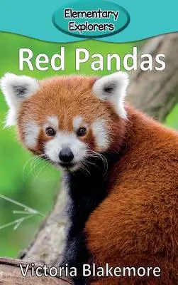 Vörös Pandák - Red Pandas