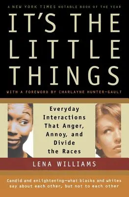 It's the Little Things: Mindennapi interakciók, amelyek felbosszantják, bosszantják és megosztják a fajokat - It's the Little Things: Everyday Interactions That Anger, Annoy, and Divide the Races
