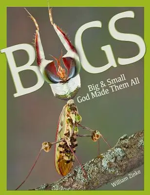 Nagy és kicsi bogarak: Isten teremtette őket - Bugs Big & Small: God Made Them All