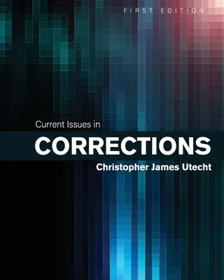 A büntetés-végrehajtás aktuális kérdései - Current Issues in Corrections