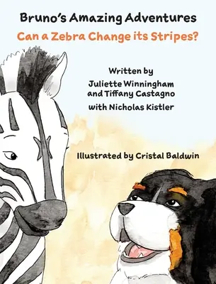 Megváltoztathatja-e a zebra a csíkjait? - Can a Zebra Change its Stripes?