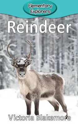 Rénszarvasok - Reindeer