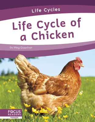 A csirke életciklusa - Life Cycle of a Chicken